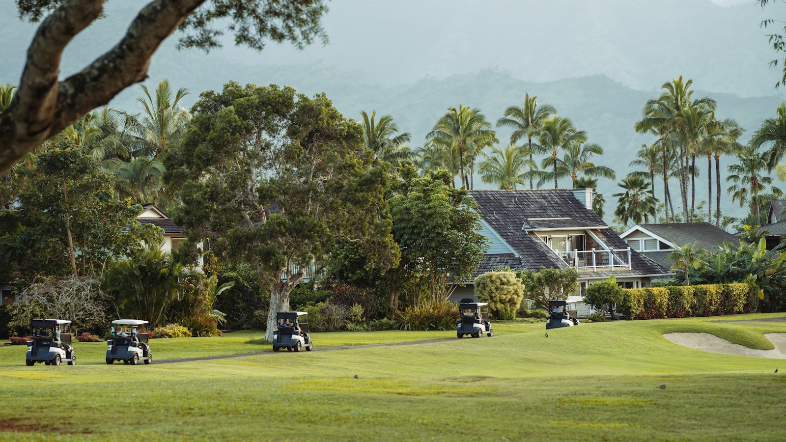 How to Become a Golf Cart Dealer: What Powersports, Marine, and RV Shops Need to Know