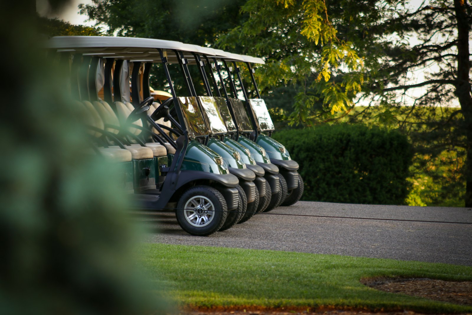 Golf Cart Buyer Expectations in 2026 for Dealers